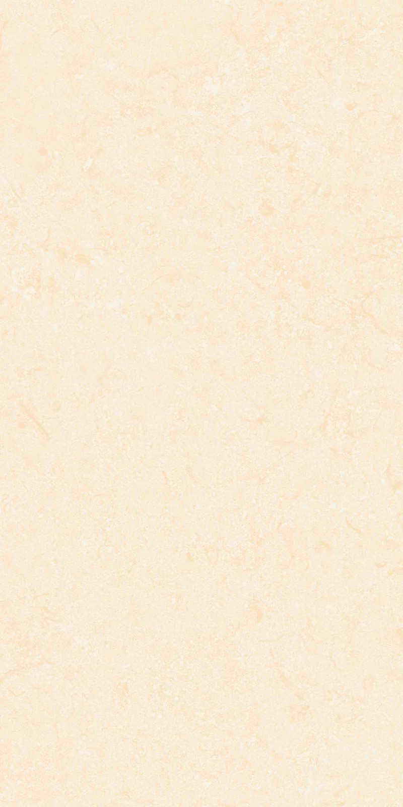 Mist Beige polished 600x1200